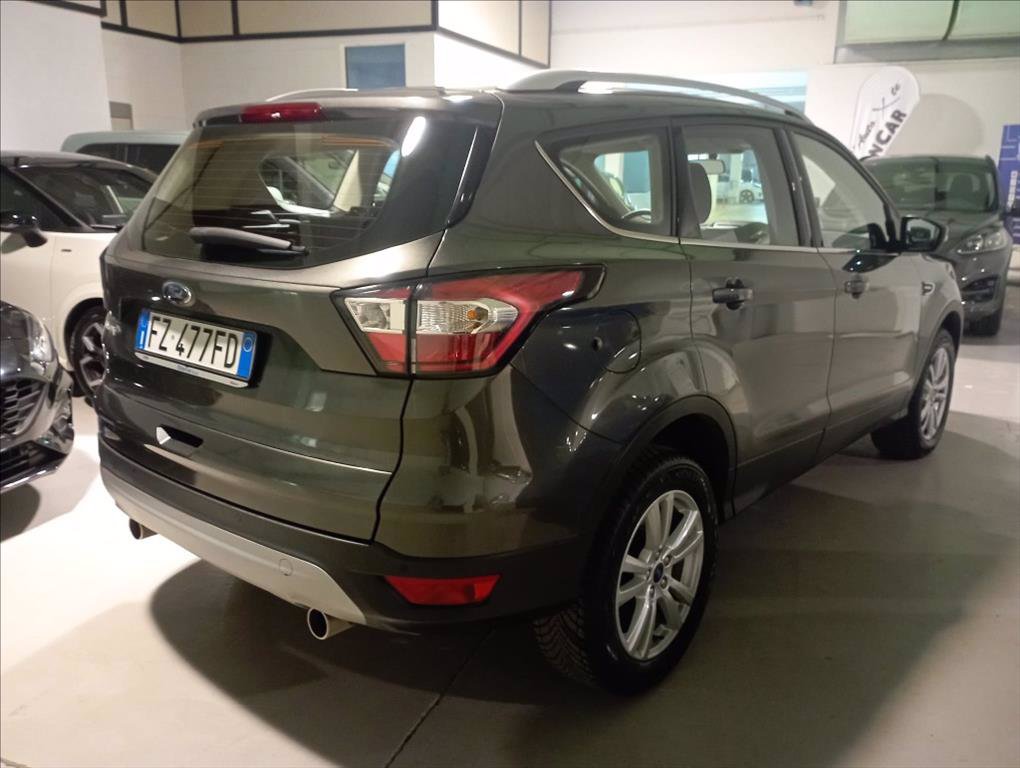 FORD Kuga 1.5 ecoboost Titanium Business s&s 2wd 120cv